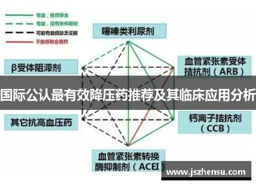 国际公认最有效降压药推荐及其临床应用分析